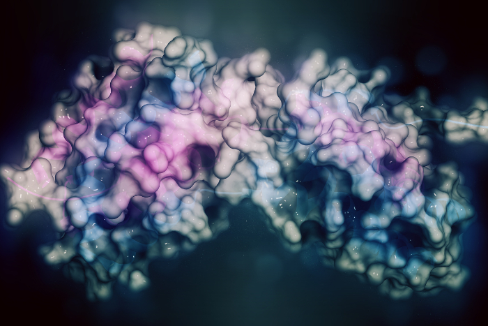 Cytokine IL10 Cytokine IL10