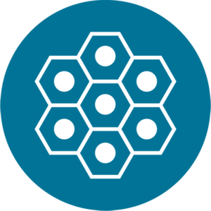 Schmuckicon Formulation Service