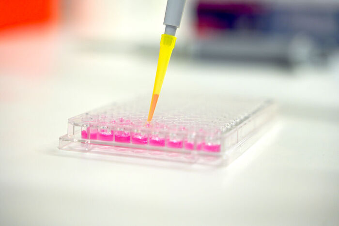 Vivacell Biotechnology, Denzlingen Vivacell Biotechnology, Denzlingen